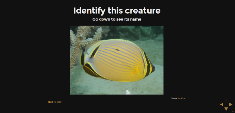 RLS flashcard example (Chaetodon lunulatus)