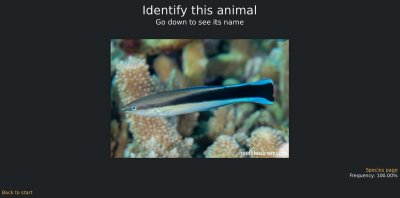 Reef Life Survey Flashcards screenshot